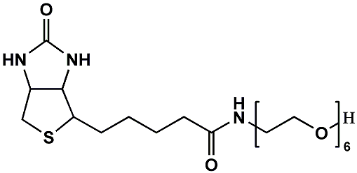 生物素六聚乙二醇羟基